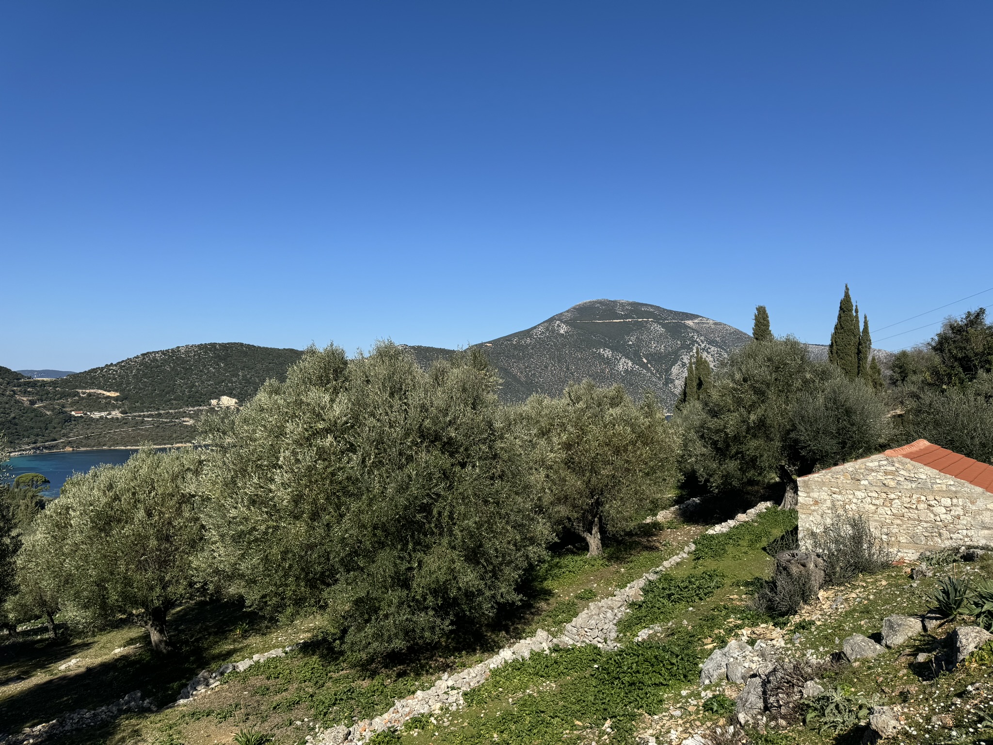 Olive groves and views of land for sale on Ithaca Greece, Piso Aetos