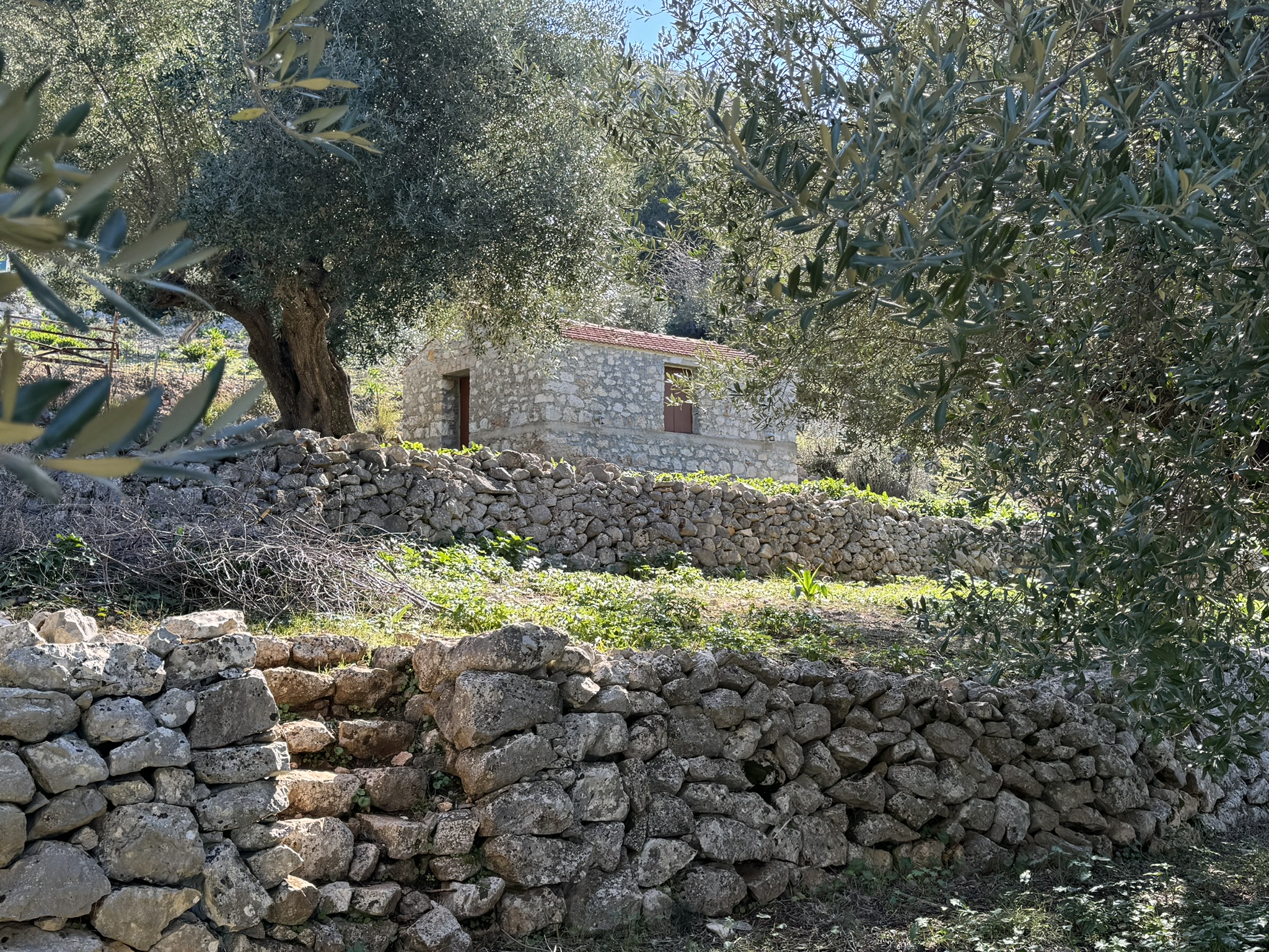 Stone dwelling and terraces of land for sale on Ithaca Greece, Piso Aetos