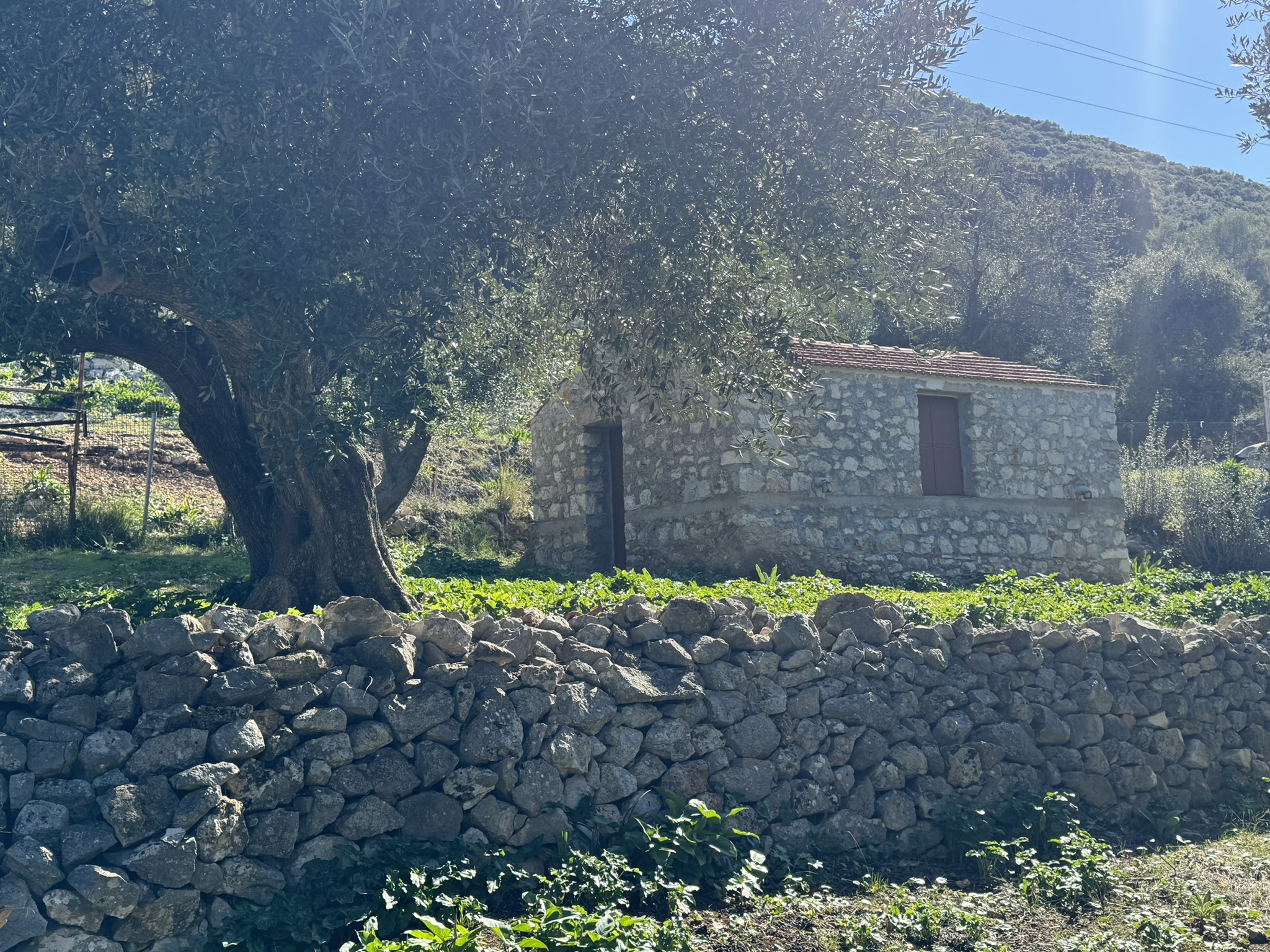 Stone dwelling and terrace of land for sale on Ithaca Greece, Piso Aetos