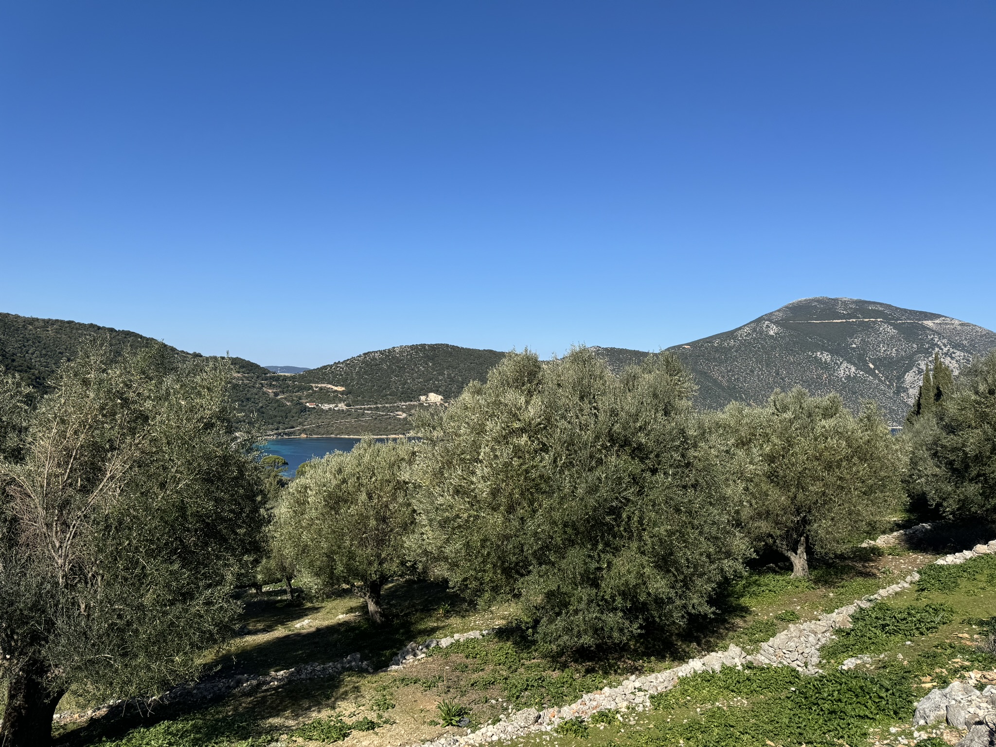 Olive groves and views of land for sale on Ithaca Greece, Piso Aetos