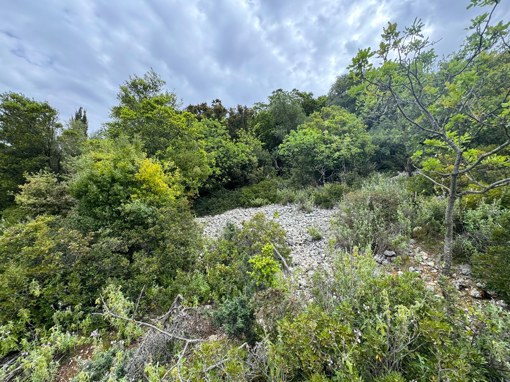 Landscape and terrain of land for sale in Ithaca Greece Piso Aetos