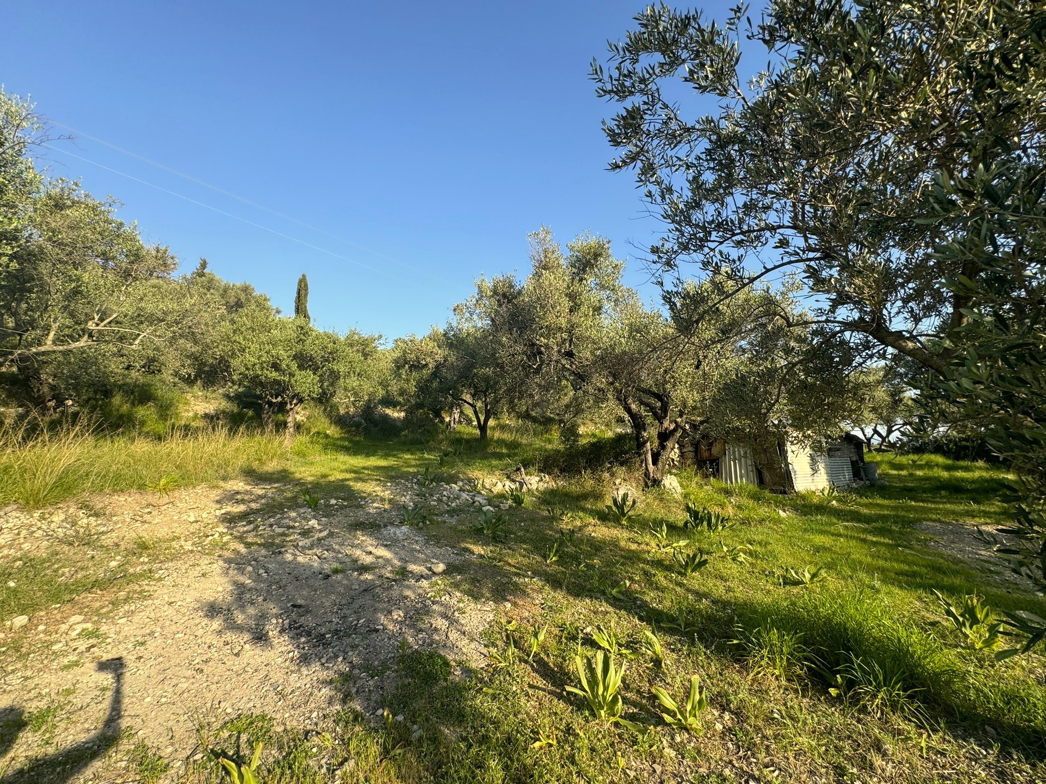 Landscape and terrain of land for sale in Ithaca Greece Pilikata