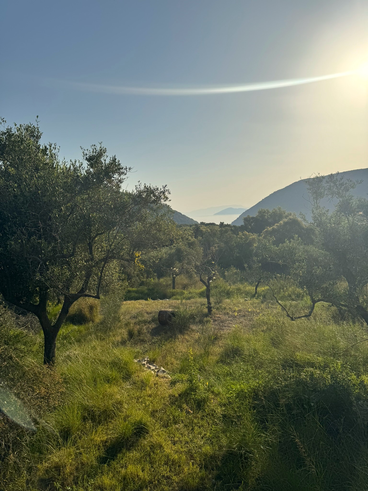 Landscape and sea view of land for sale in Ithaca Greece Pilikata