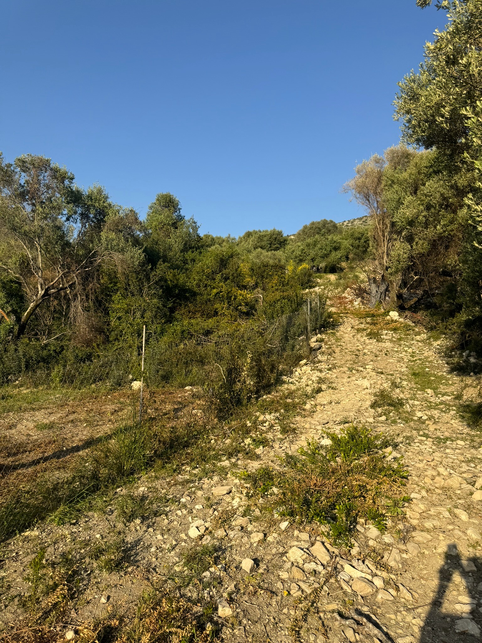 Public path leading to land for sale in Ithaca Greece Pilikata