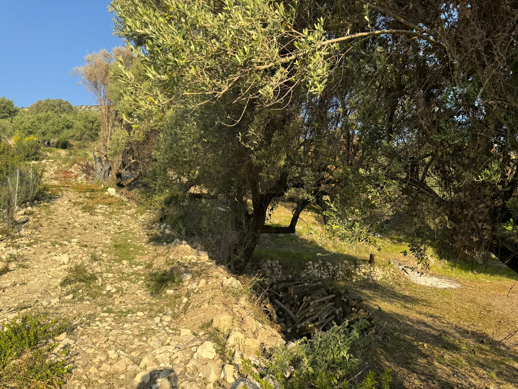 Public path and additional plot of land for sale in Ithaca Greece Pilikata