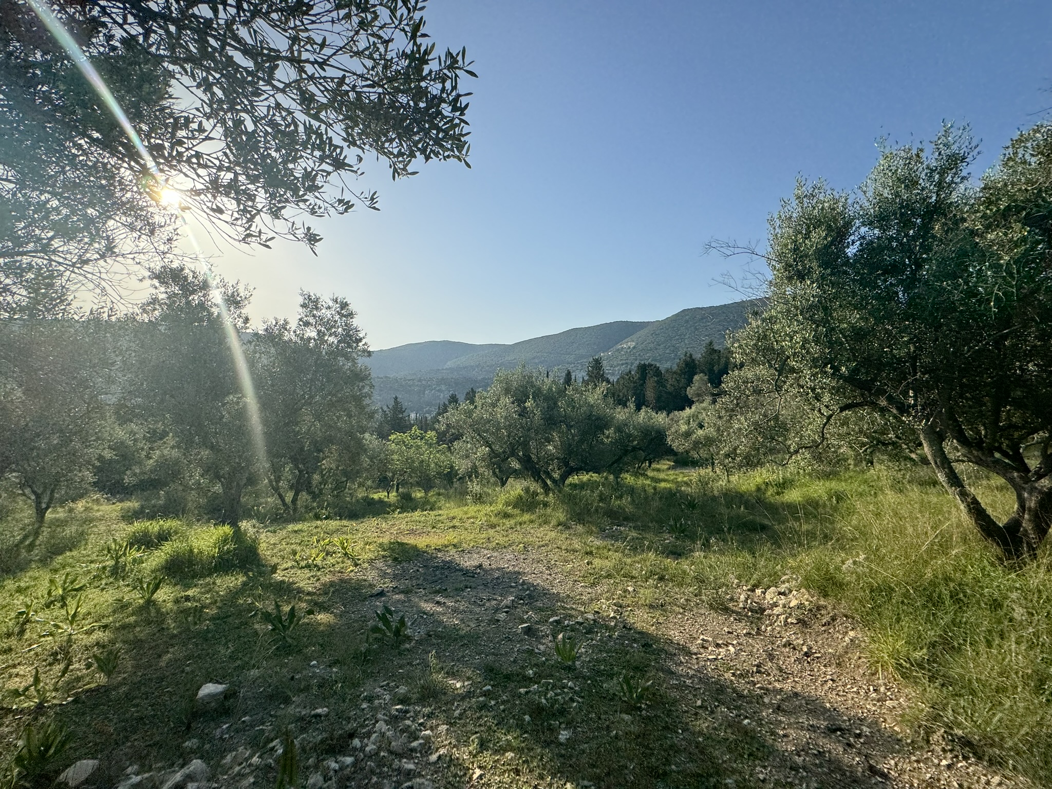 Landscape and terrain of land for sale in Ithaca Greece Pilikata