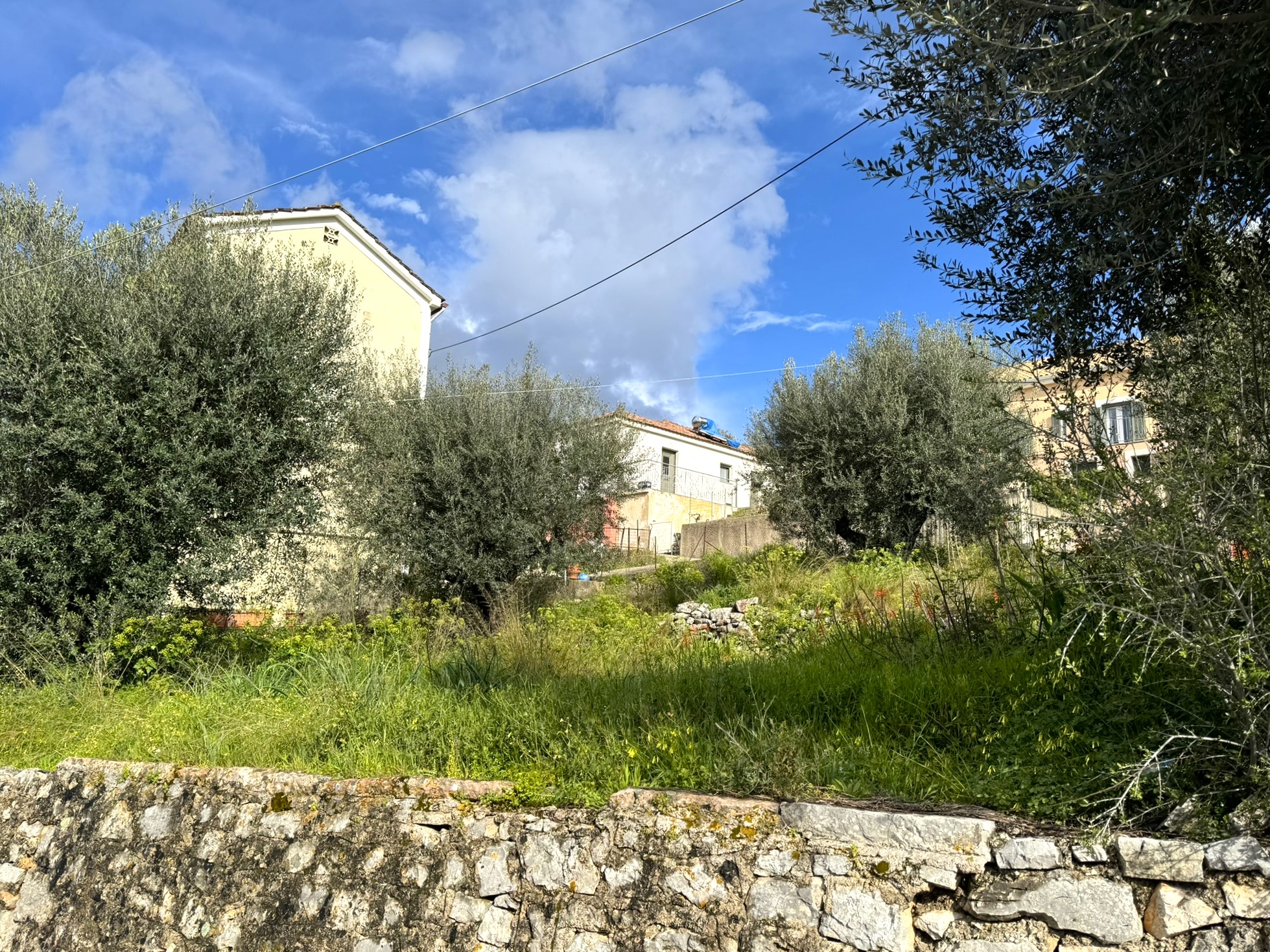 Terrain and landscape of land with building license for sale in Ithaca Greece, Vathi