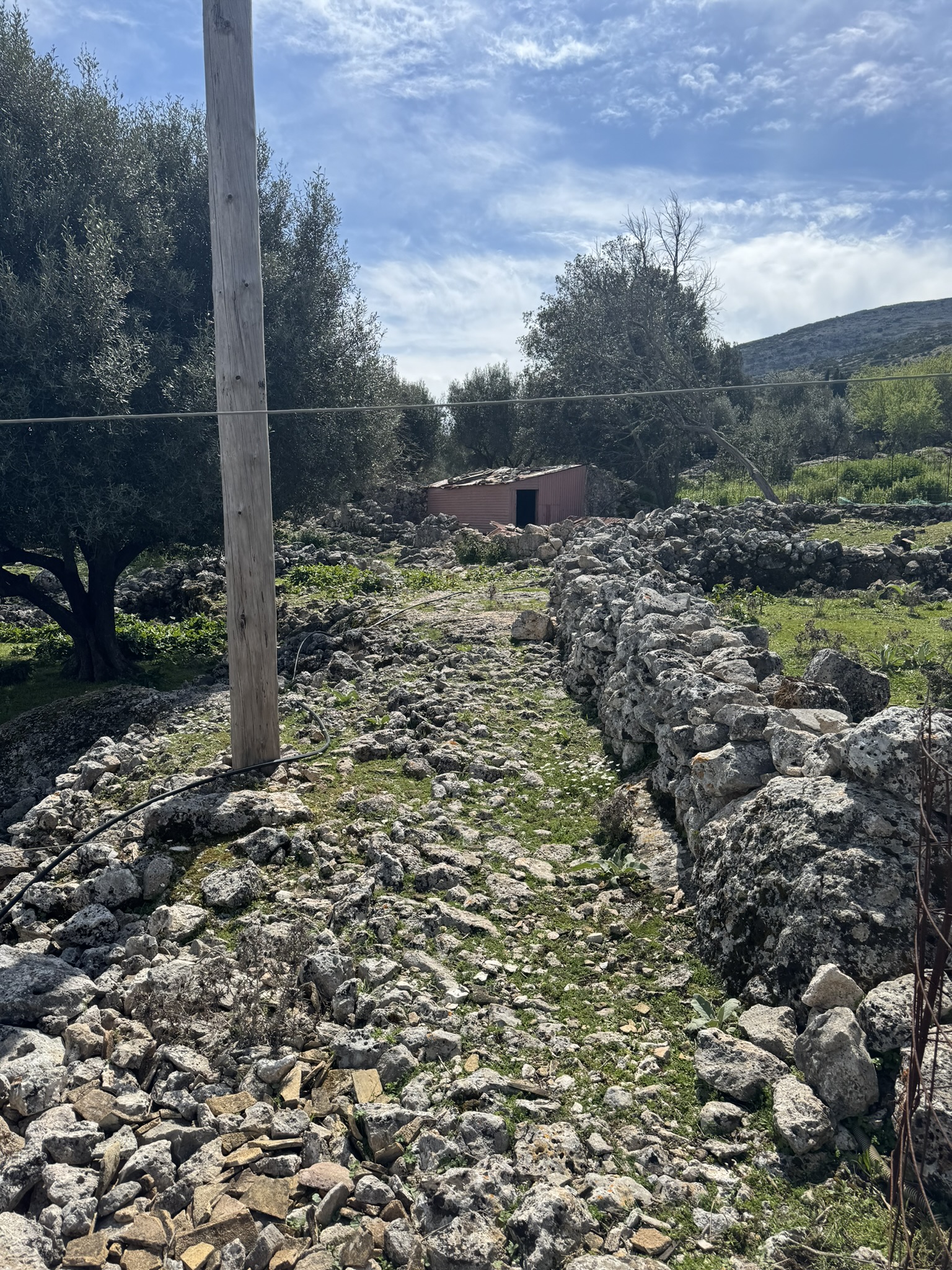 Terrain and terrain of land for sale in Ithaca Greece Anoghi