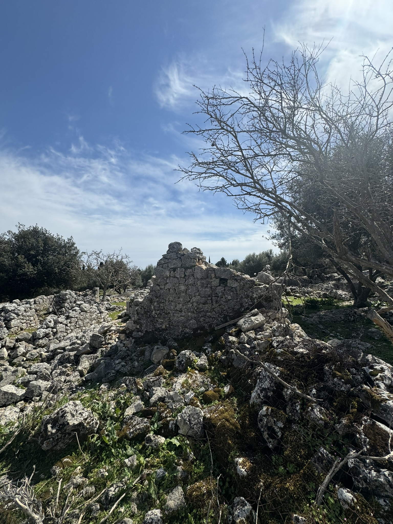 Terrain and ruins of land for sale in Ithaca Greece Anoghi