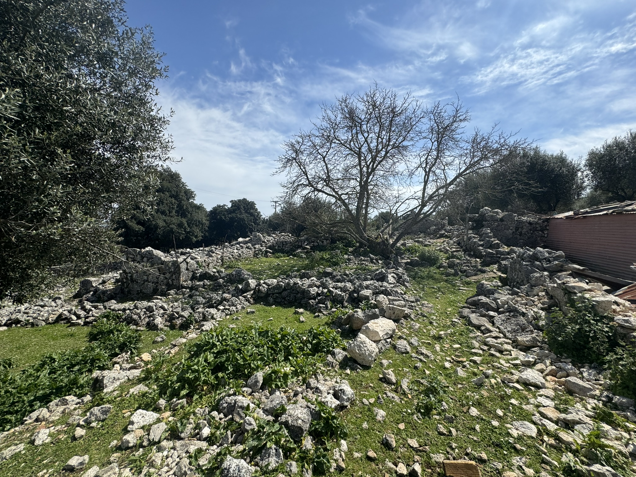Terrain and landscape of land for sale in Ithaca Greece Anoghi