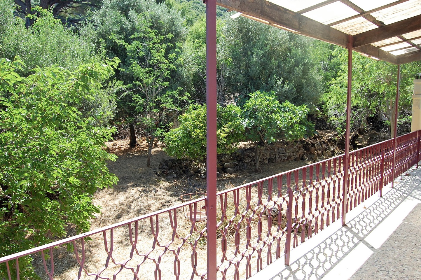 Garden of house for sale in Ithaca Greece Lefki