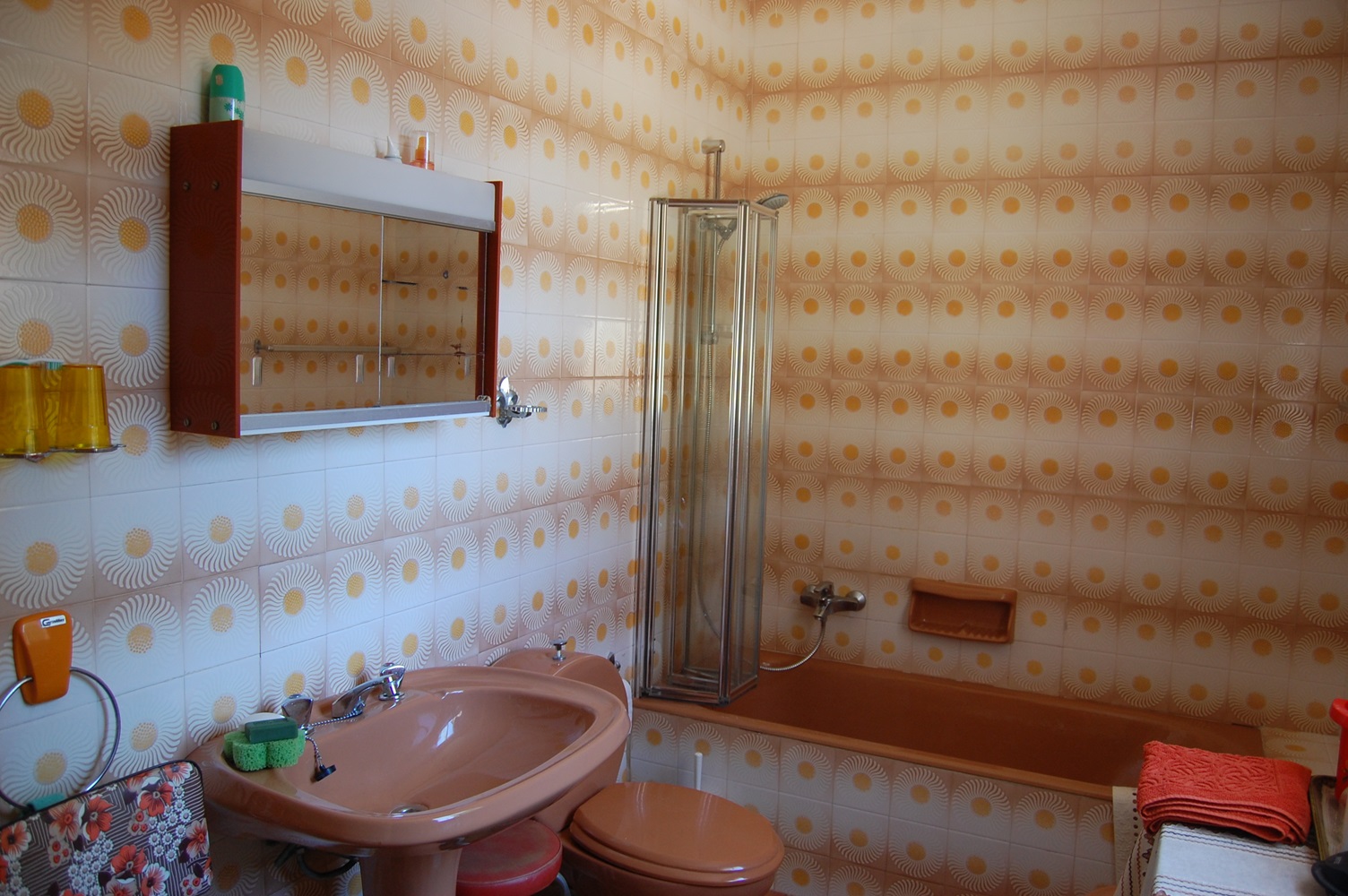 Bathroom of house for sale in Ithaca Greece Lefki
