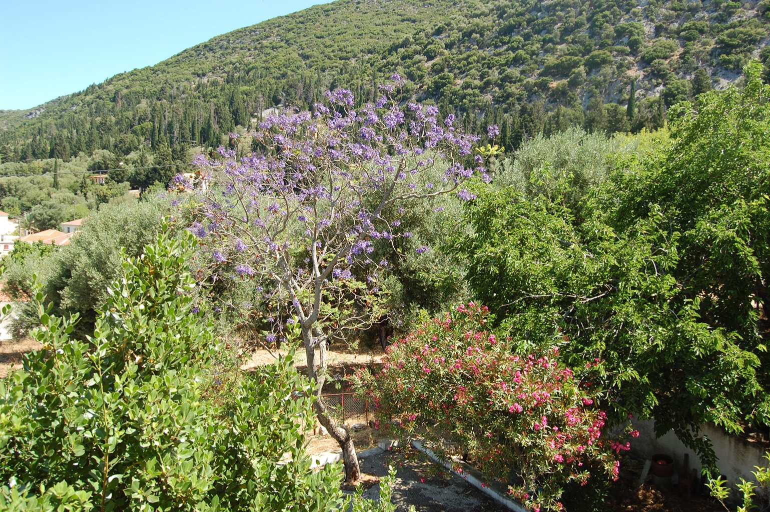 Views of house for sale in Ithaca Greece Lefki