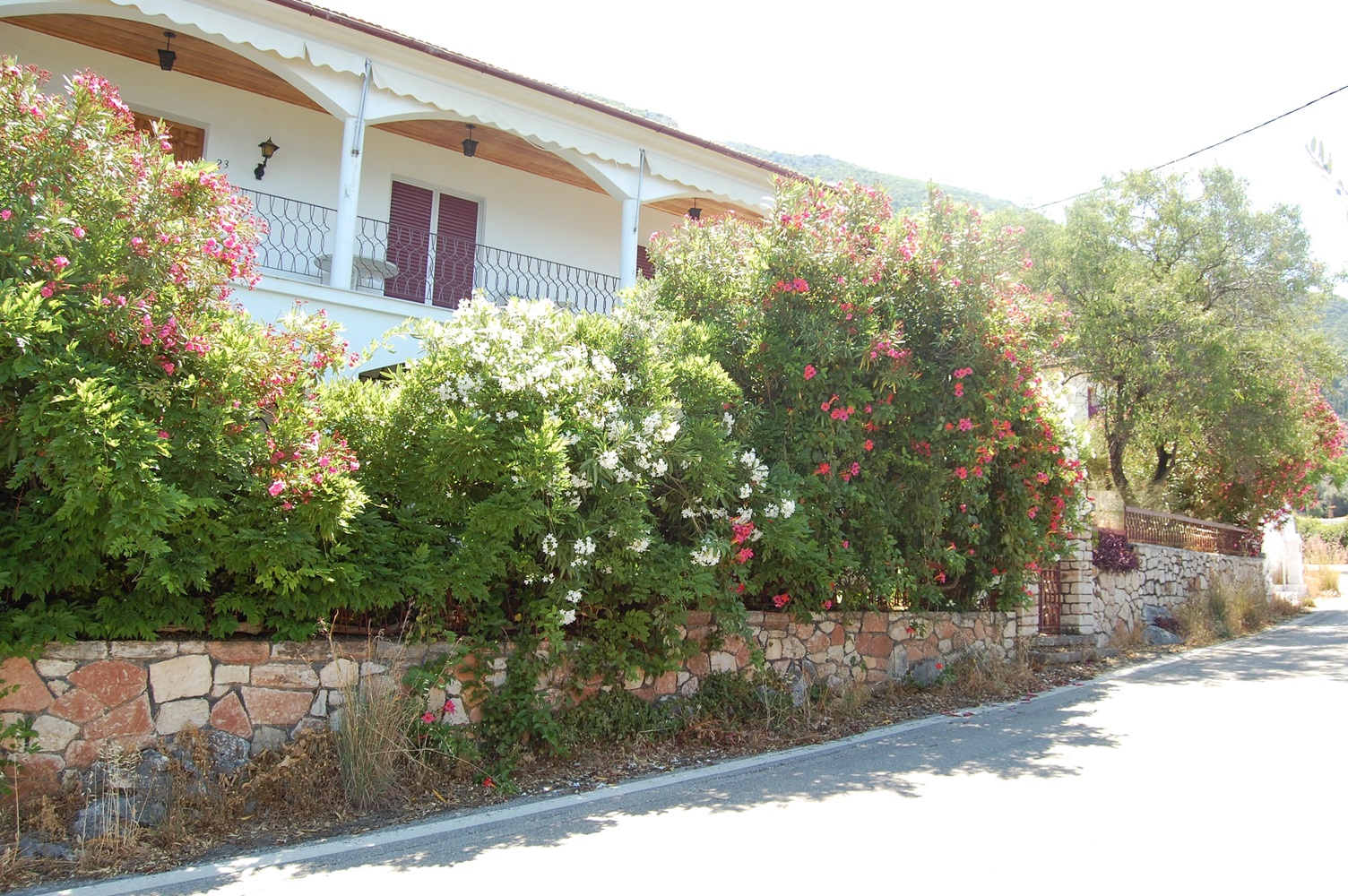 Exterior of house for sale in Ithaca Greece Lefki