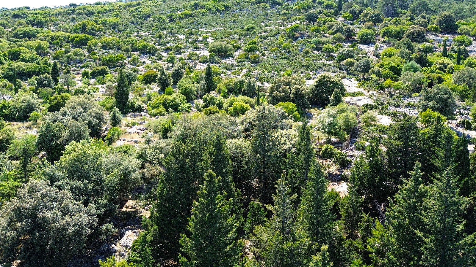 Aerial view of land for sale in Ithaca Greece Anoghi