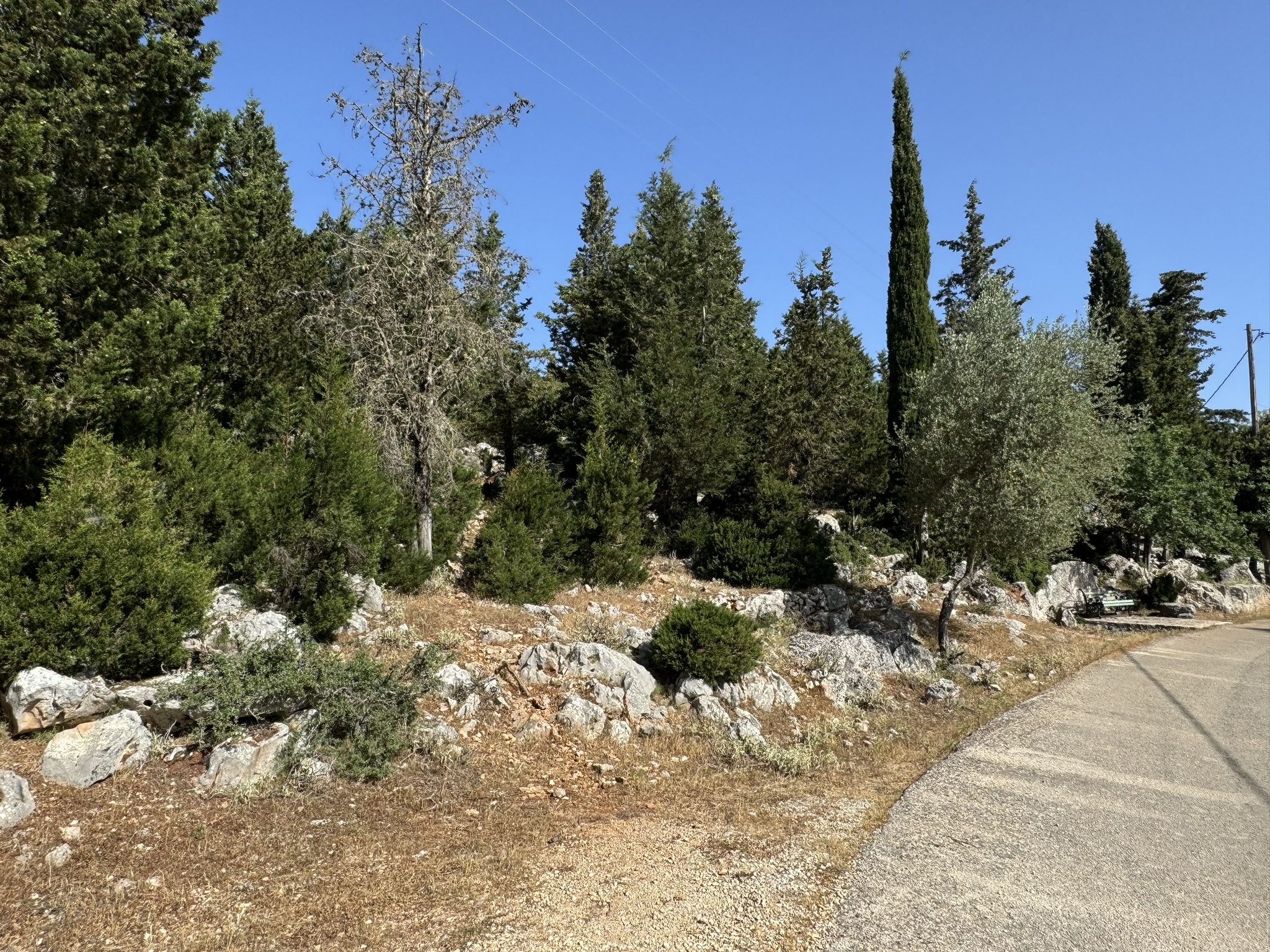 Road view of land for sale in Ithaca Greece Anoghi