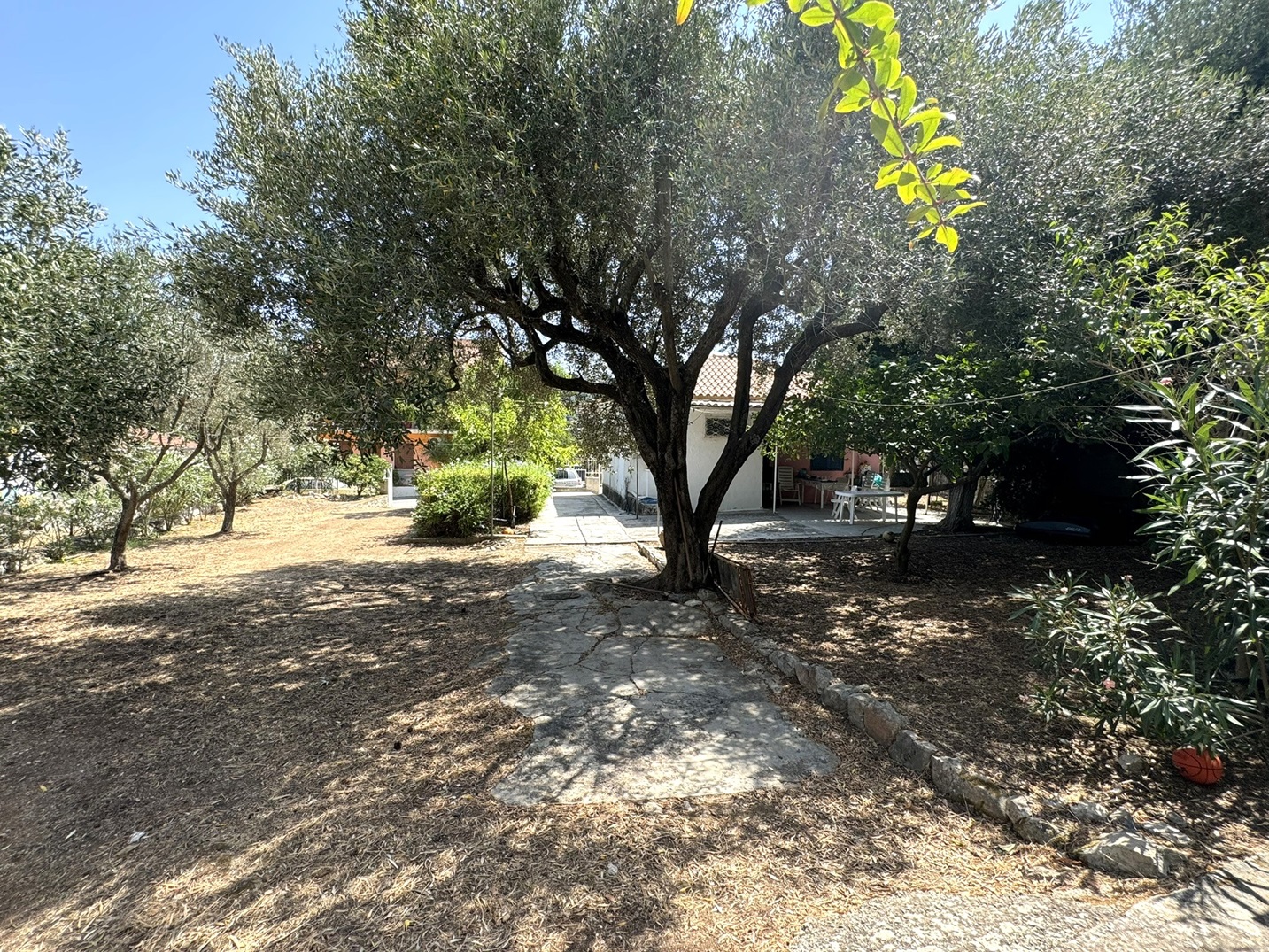 Garden area of house for sale in Ithaca Greece Vathi