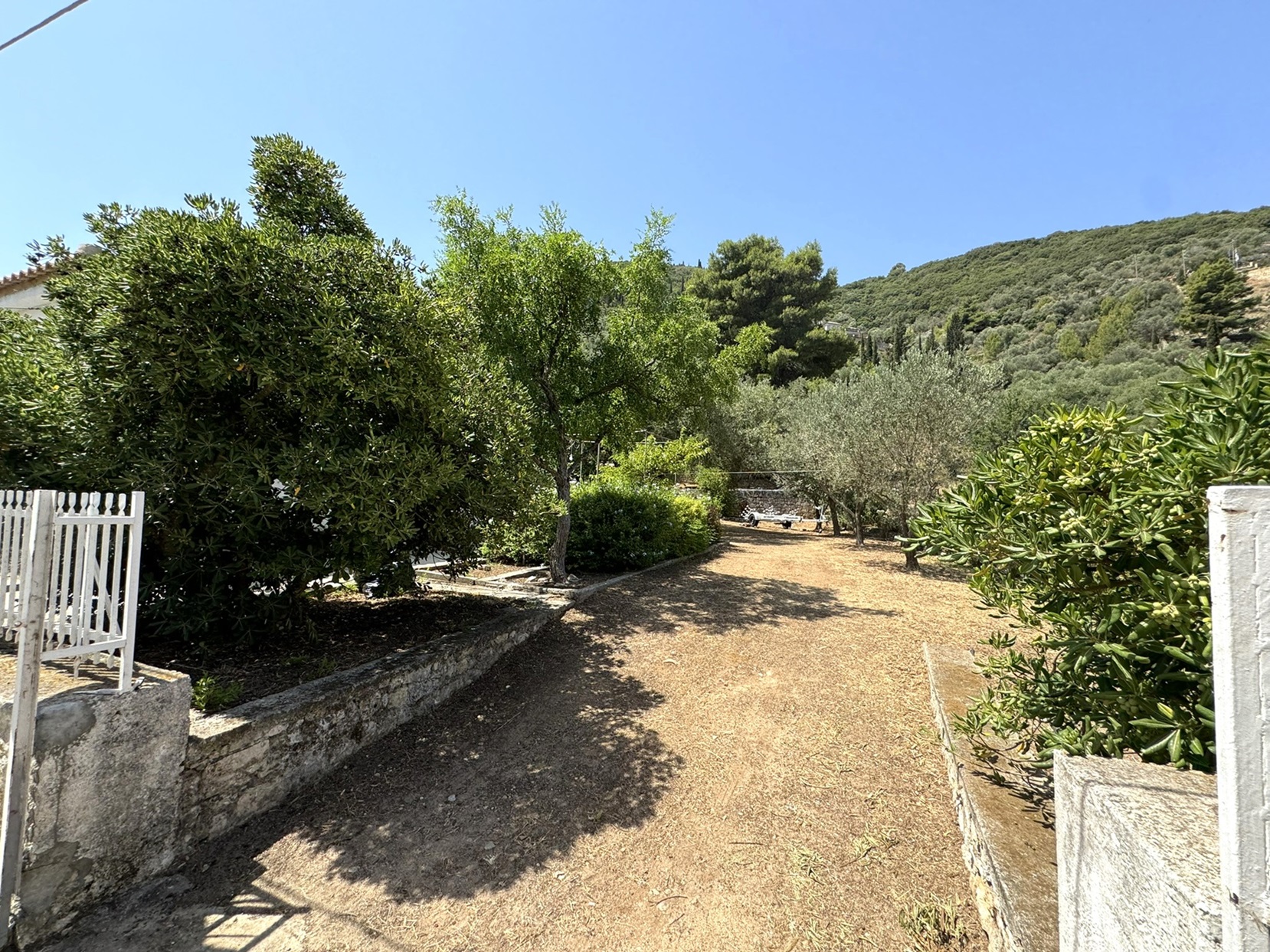 Garden of house for sale in Ithaca Greece Vathi