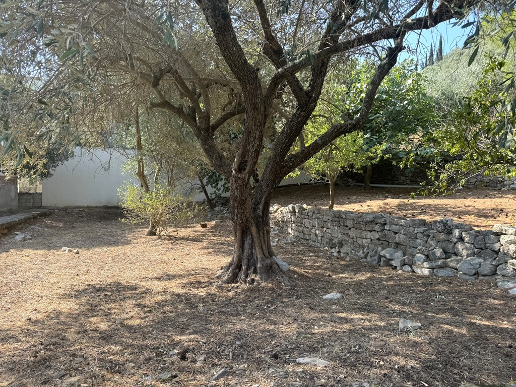 Garden landscape of house for sale in Ithaca Greece Vathi