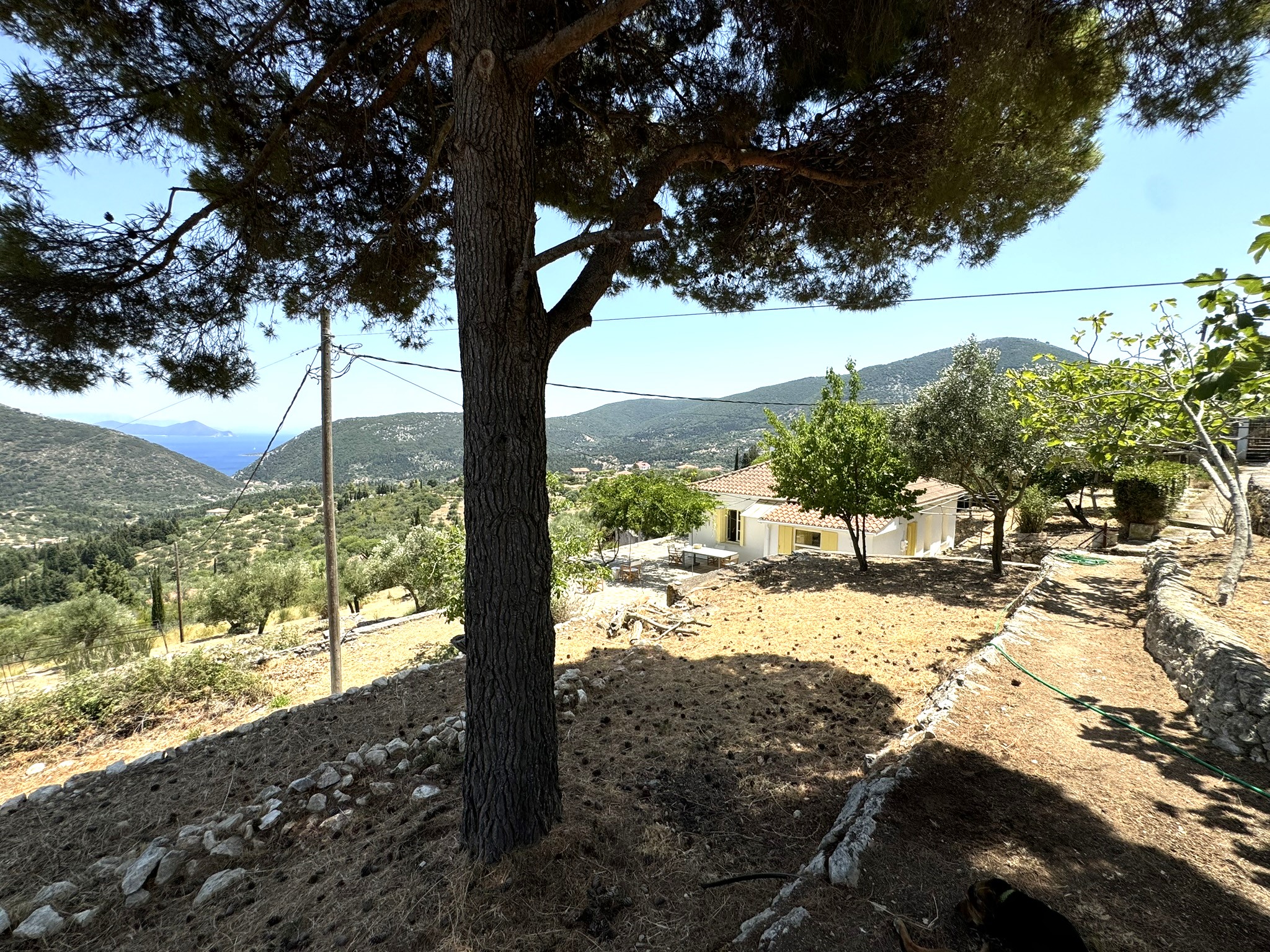 Garden and views of house for sale in Ithaca Greece Platrithya