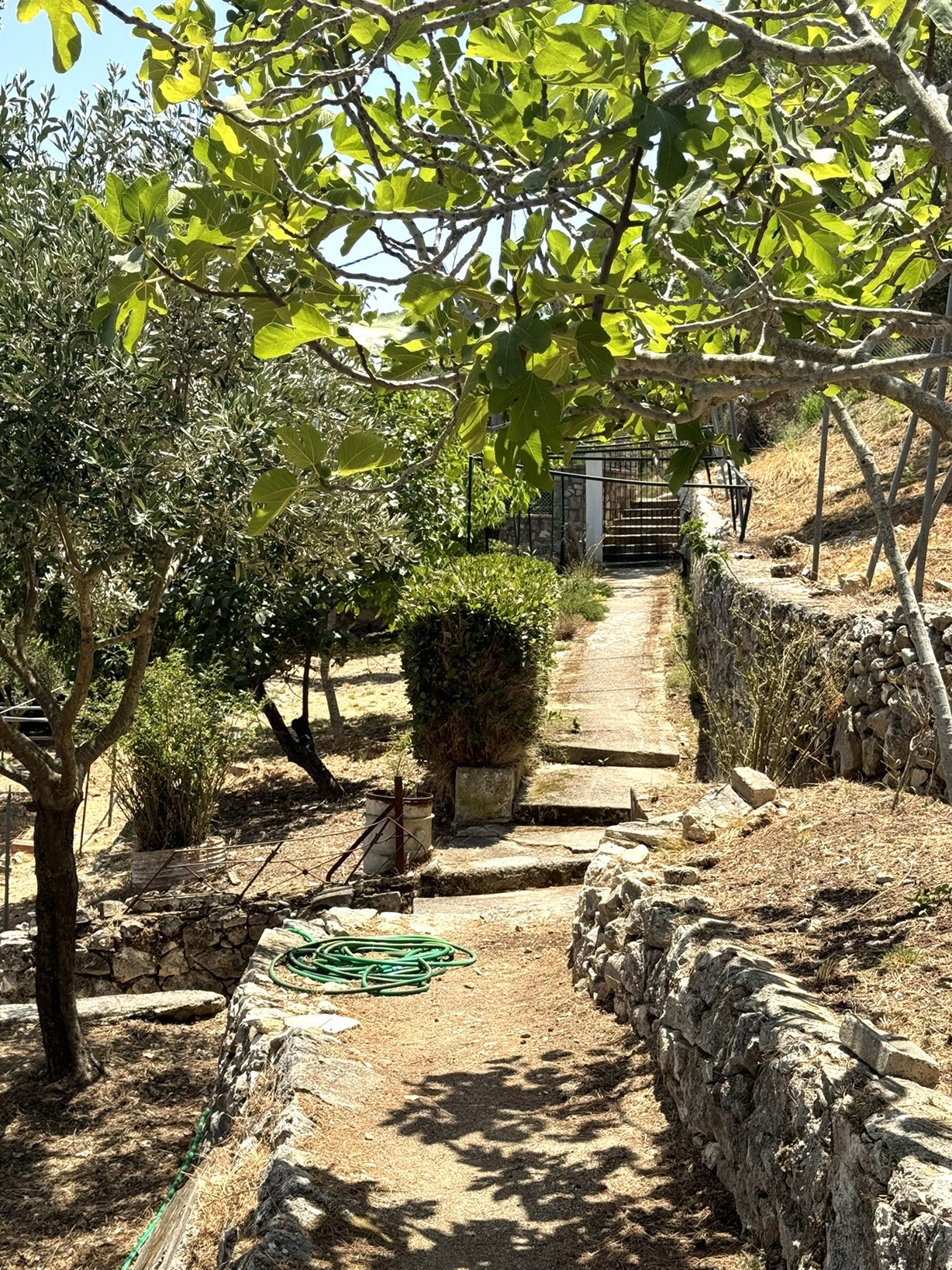 Paved access path of house for sale in Ithaca Greece Platrithya