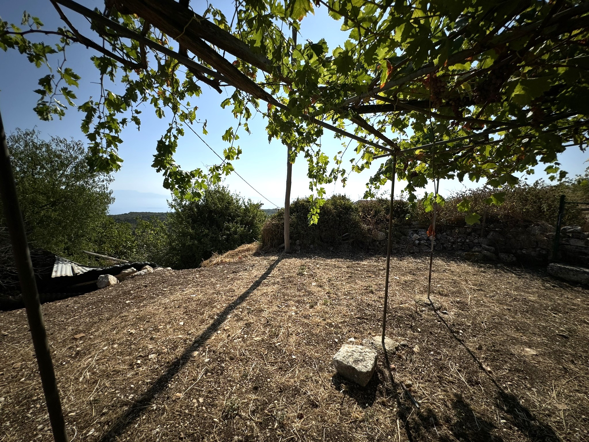 Garden of house for sale in Ithaca Greece Anoghi