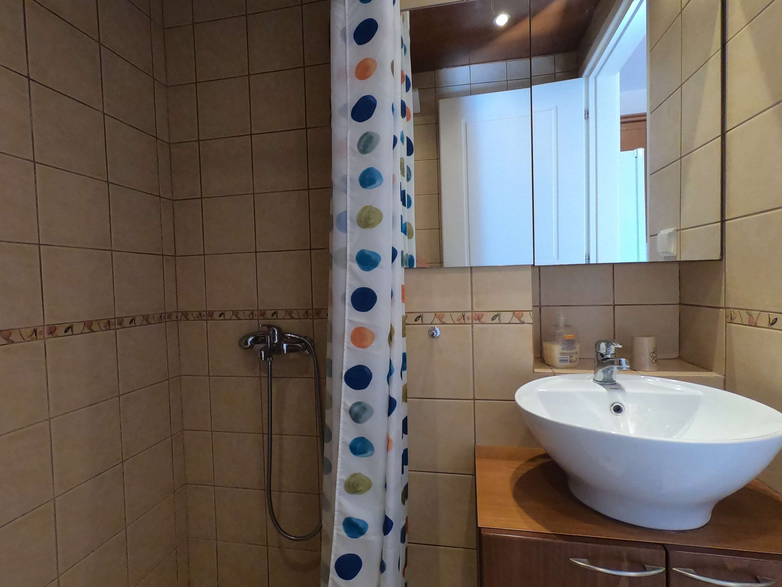 Small bathroom of house for sale in Ithaca Greece Perachori