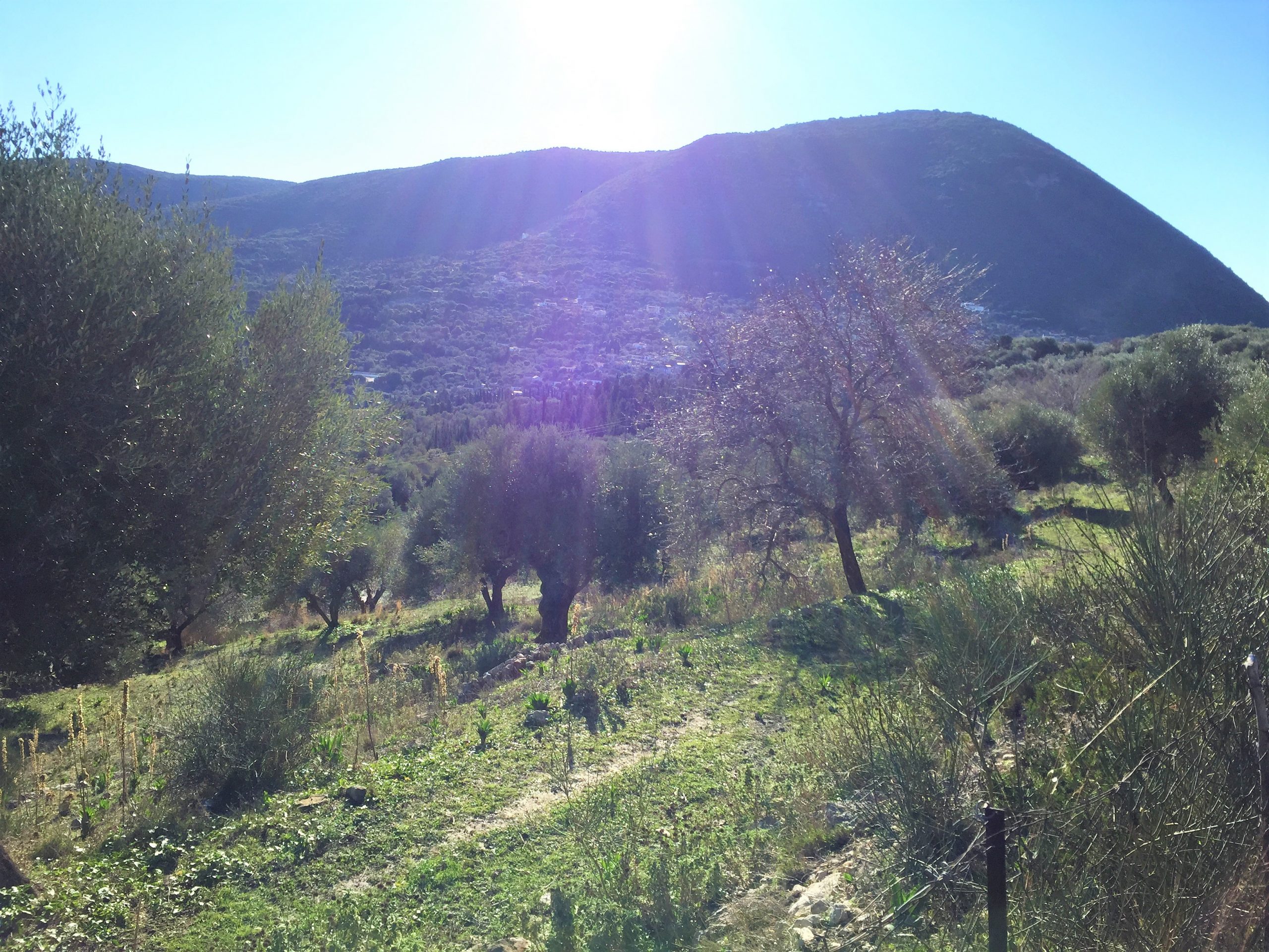Terrain and landscape of land with building license for sale in Ithaca Greece Pilikata