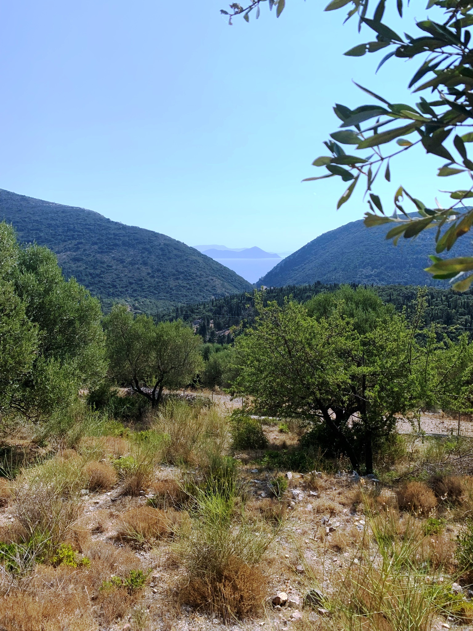 Sea views of land with building license for sale in Ithaca Greece Pilikata