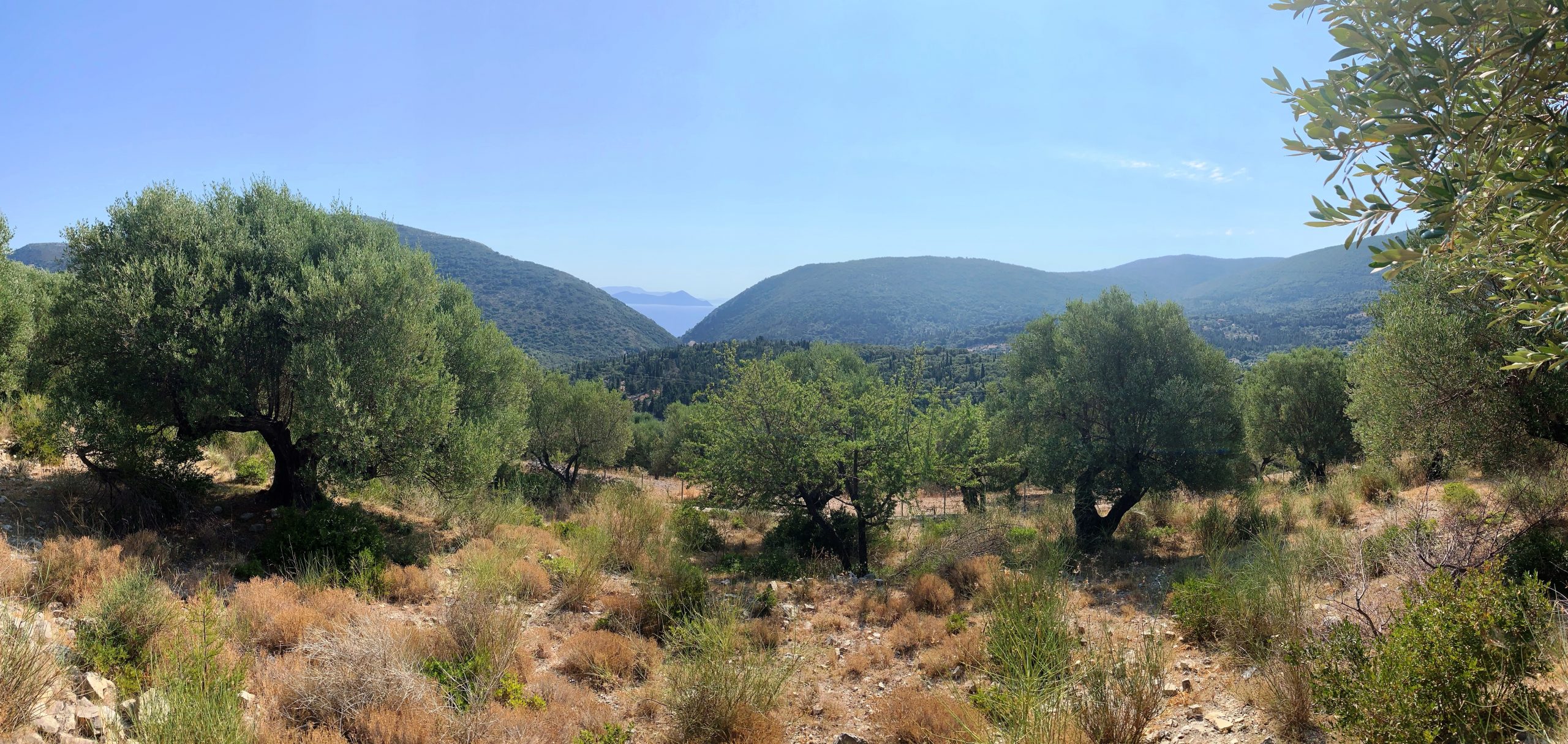 Panoramic view of land with building license for sale in Ithaca Greece Pilikata