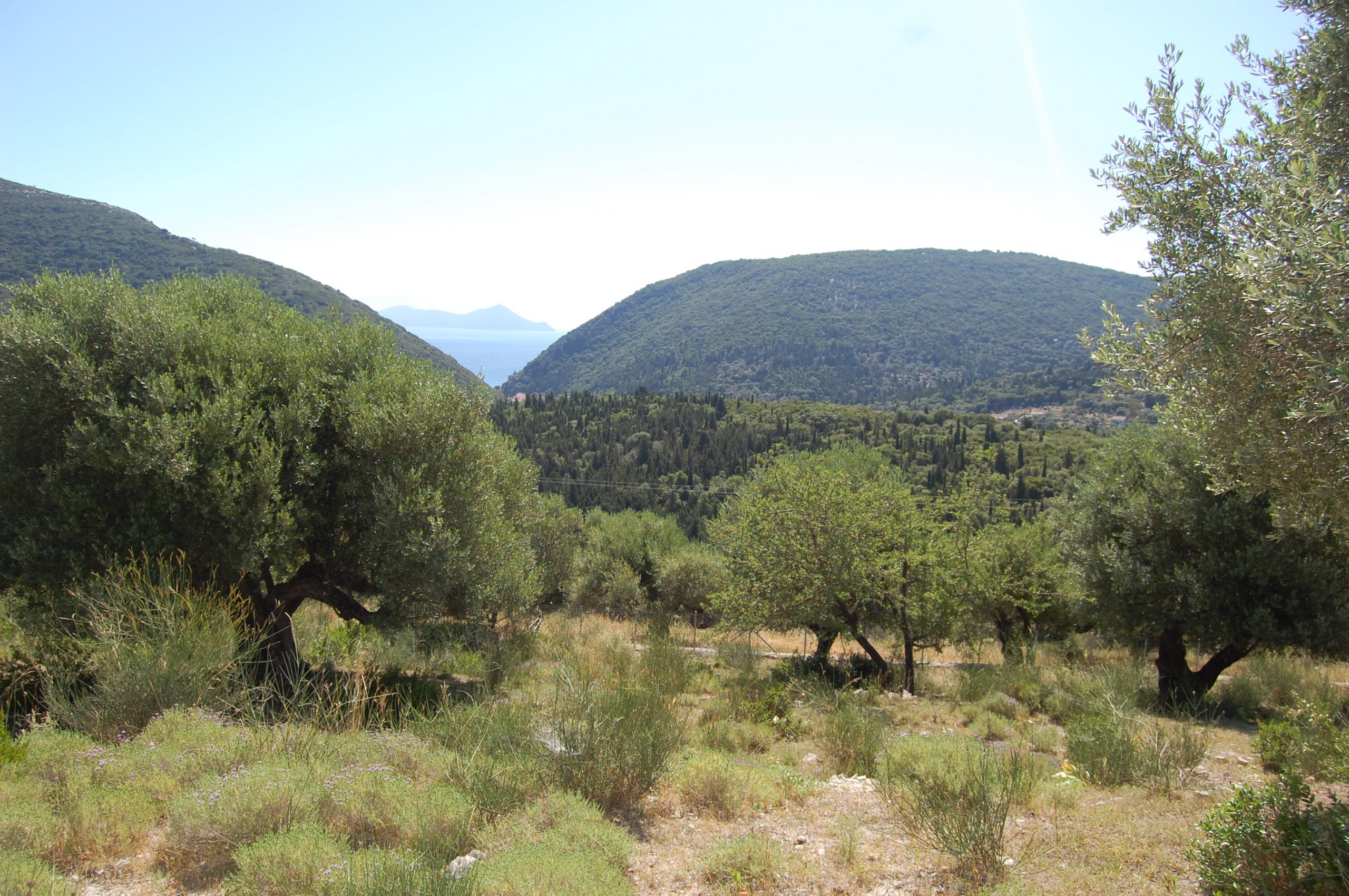 Terrain and sea views of land with building license for sale in Ithaca Greece Pilikata