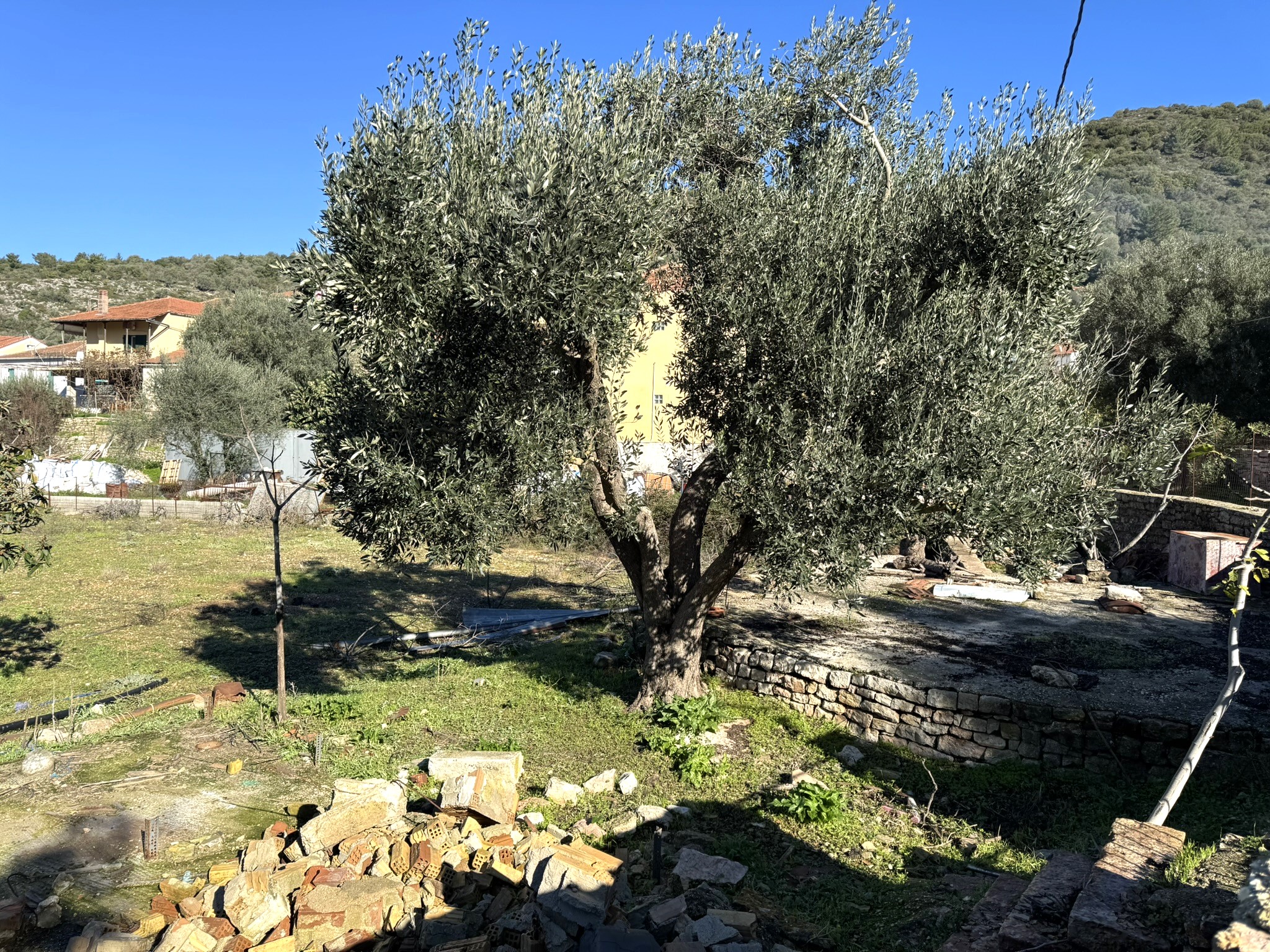 Landscape and terrain of land for sale in Ithaca Greece, Vathi