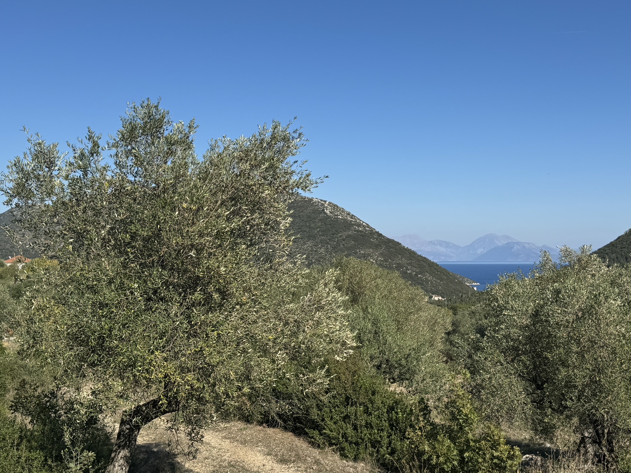 Sea views of land for sale in Ithaca Greece, Stavros