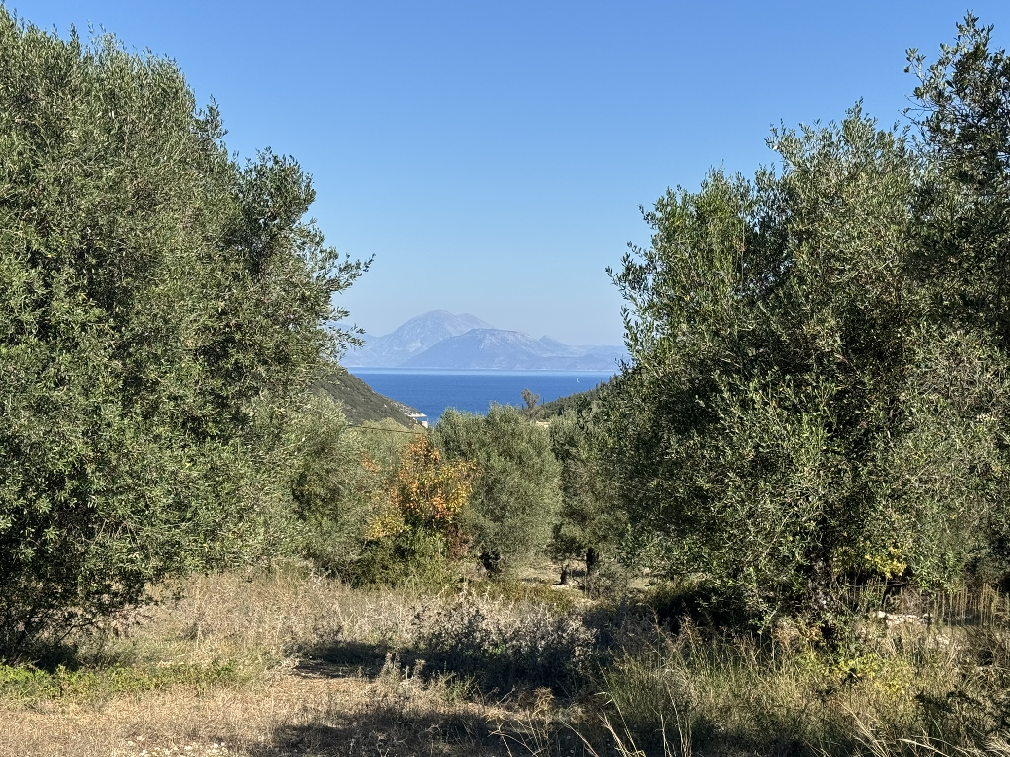 Sea views of land for sale in Ithaca Greece, Stavros