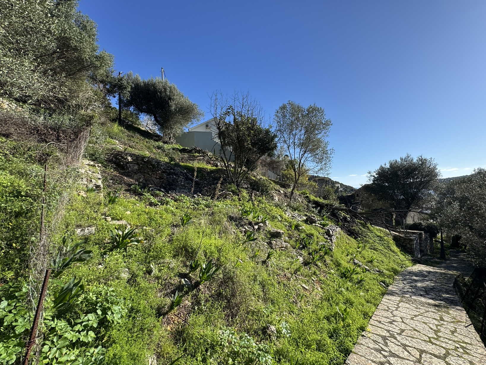 Road view of land for sale in Ithaca Greece, Kioni