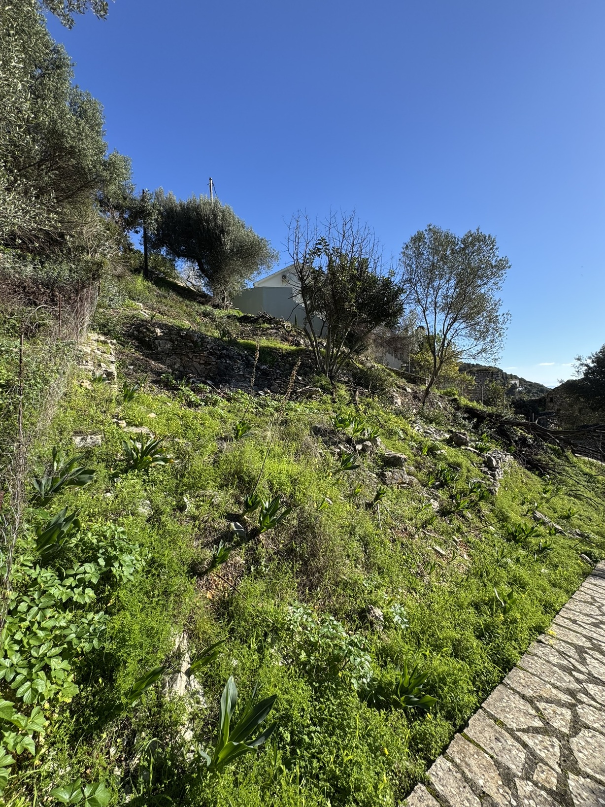 Terrain and landscape of land for sale in Ithaca Greece, Kioni