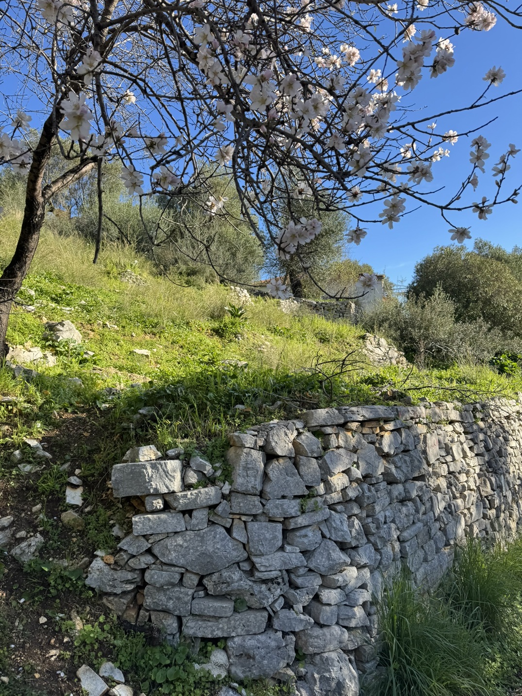 Terrain and landscape of land for sale in Ithaca Greece, Kioni