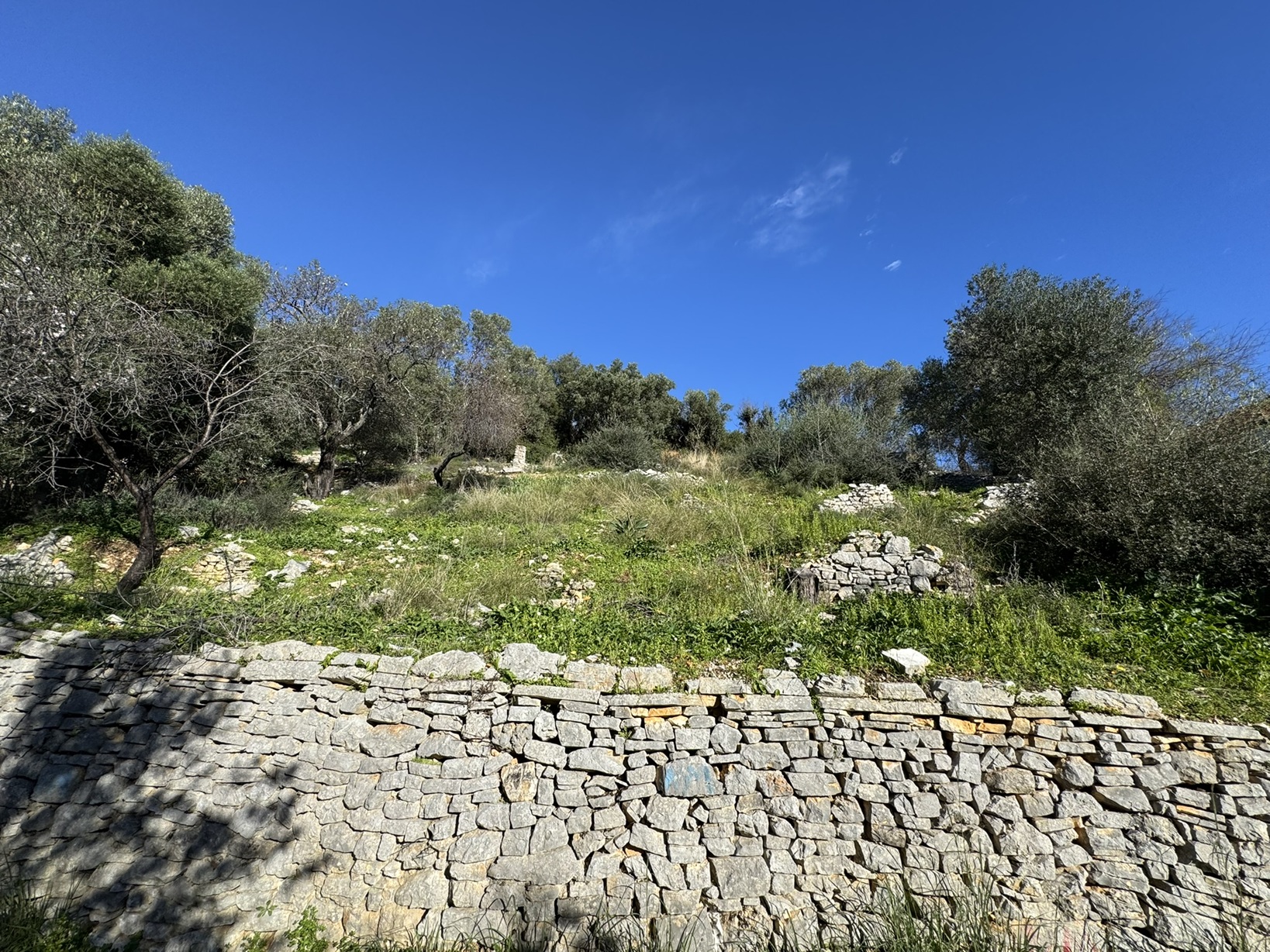 Terrain and landscape of land for sale in Ithaca Greece, Kioni