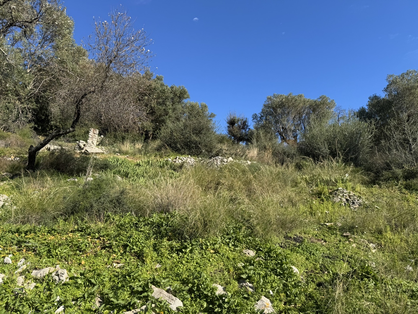 Terrain and landscape of land for sale in Ithaca Greece, Kioni