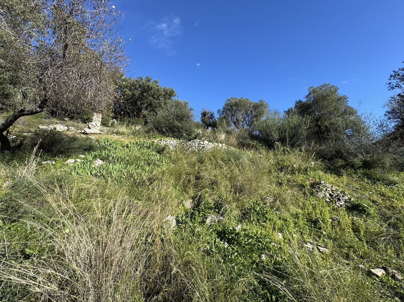 Terrain and landscape of land for sale in Ithaca Greece, Kioni