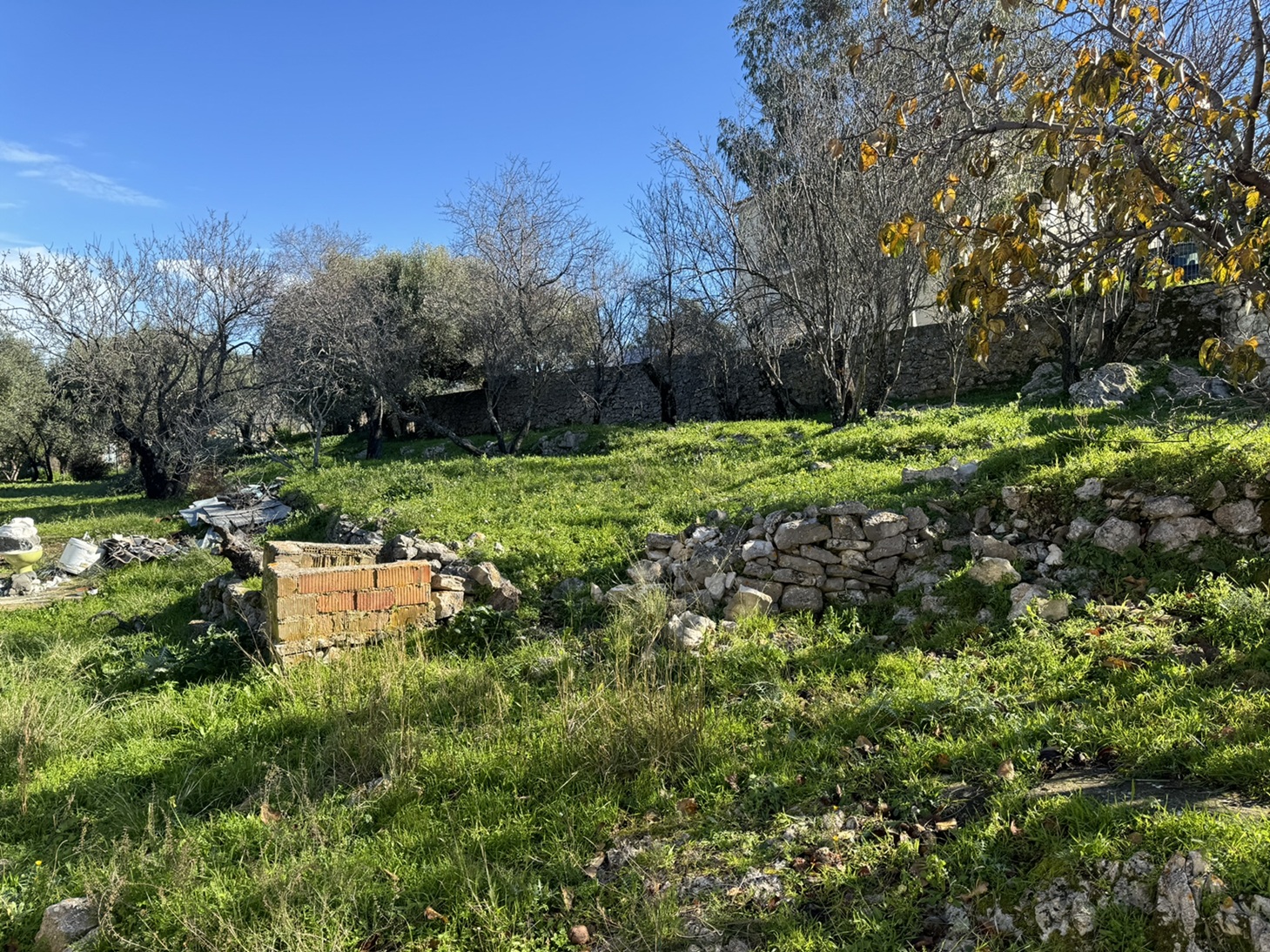 Garden of house for sale in Ithaca Greece, Stavros