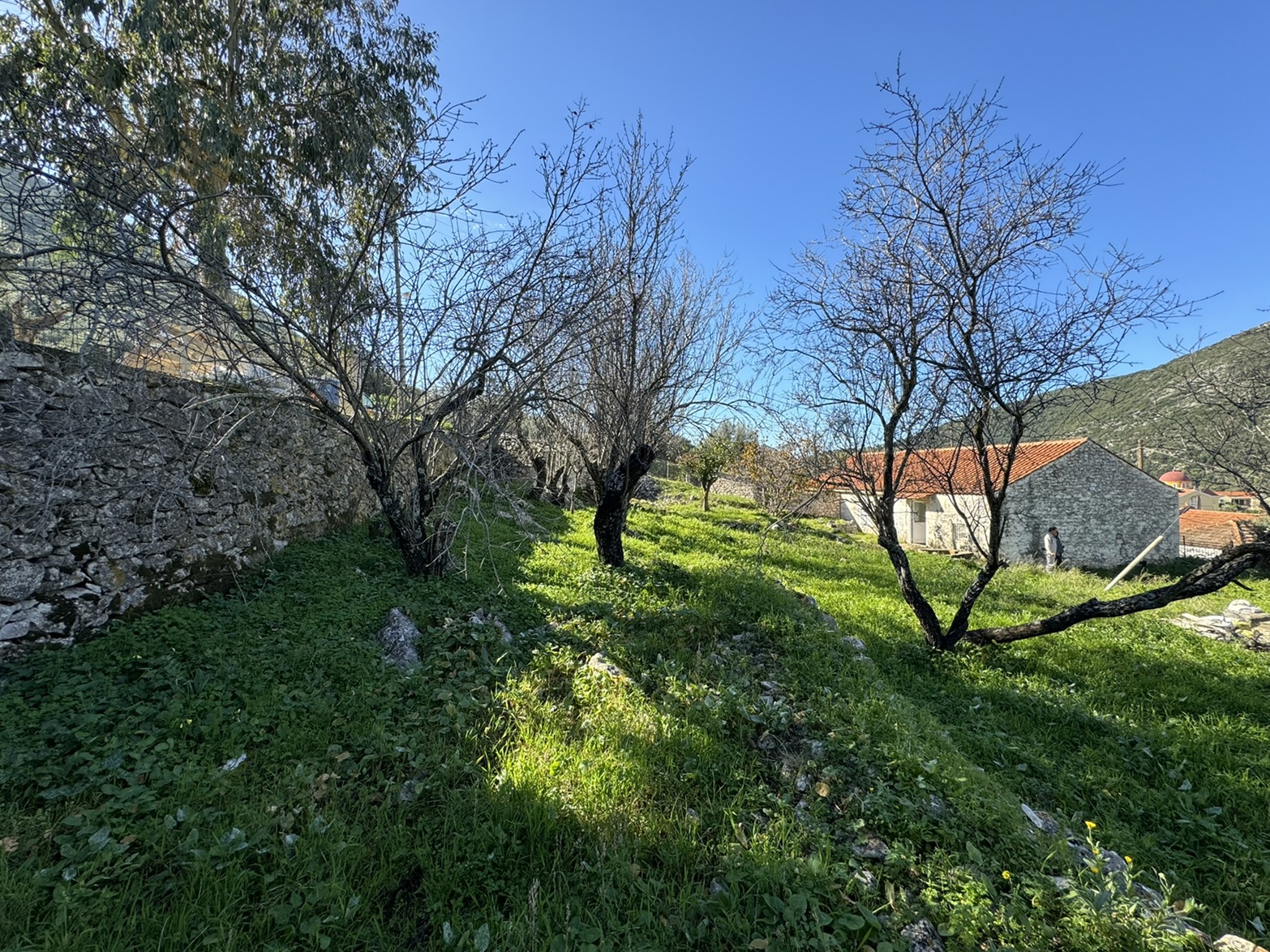 Garden of house for sale in Ithaca Greece, Stavros