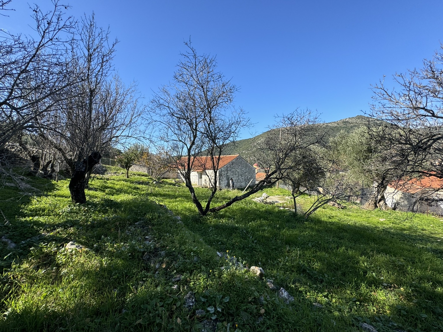 Garden of house for sale in Ithaca Greece, Stavros