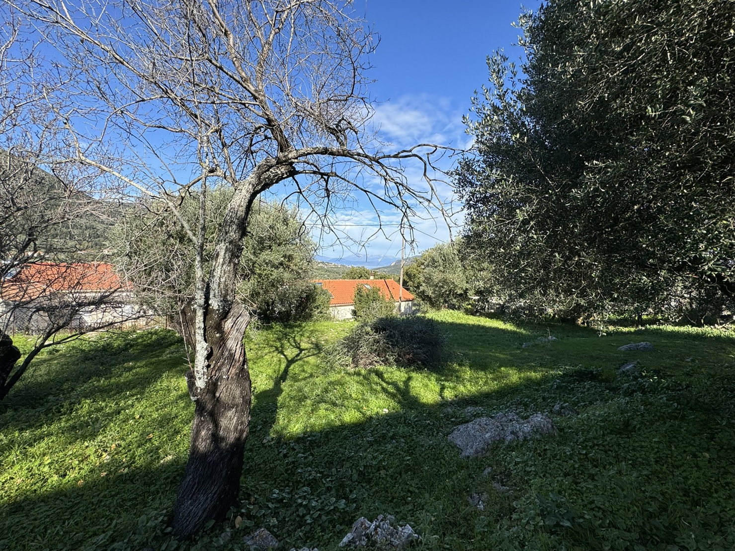 Garden of house for sale in Ithaca Greece, Stavros
