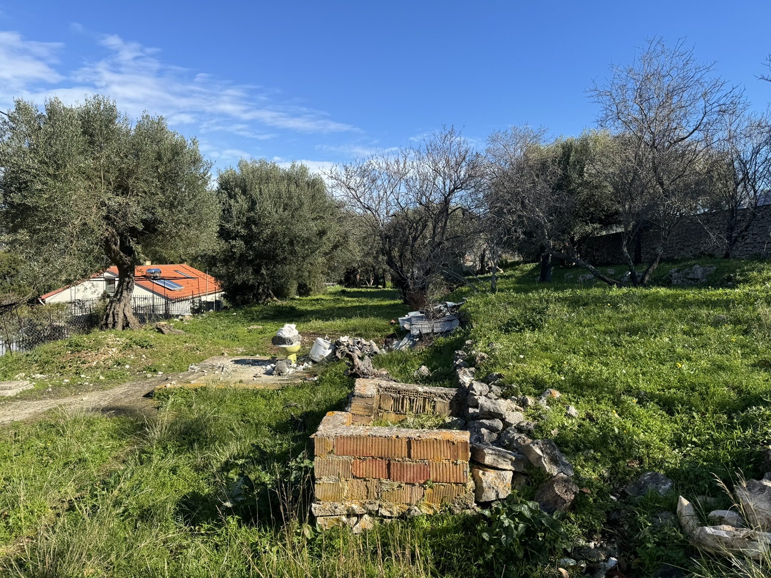 Garden of house for sale in Ithaca Greece, Stavros