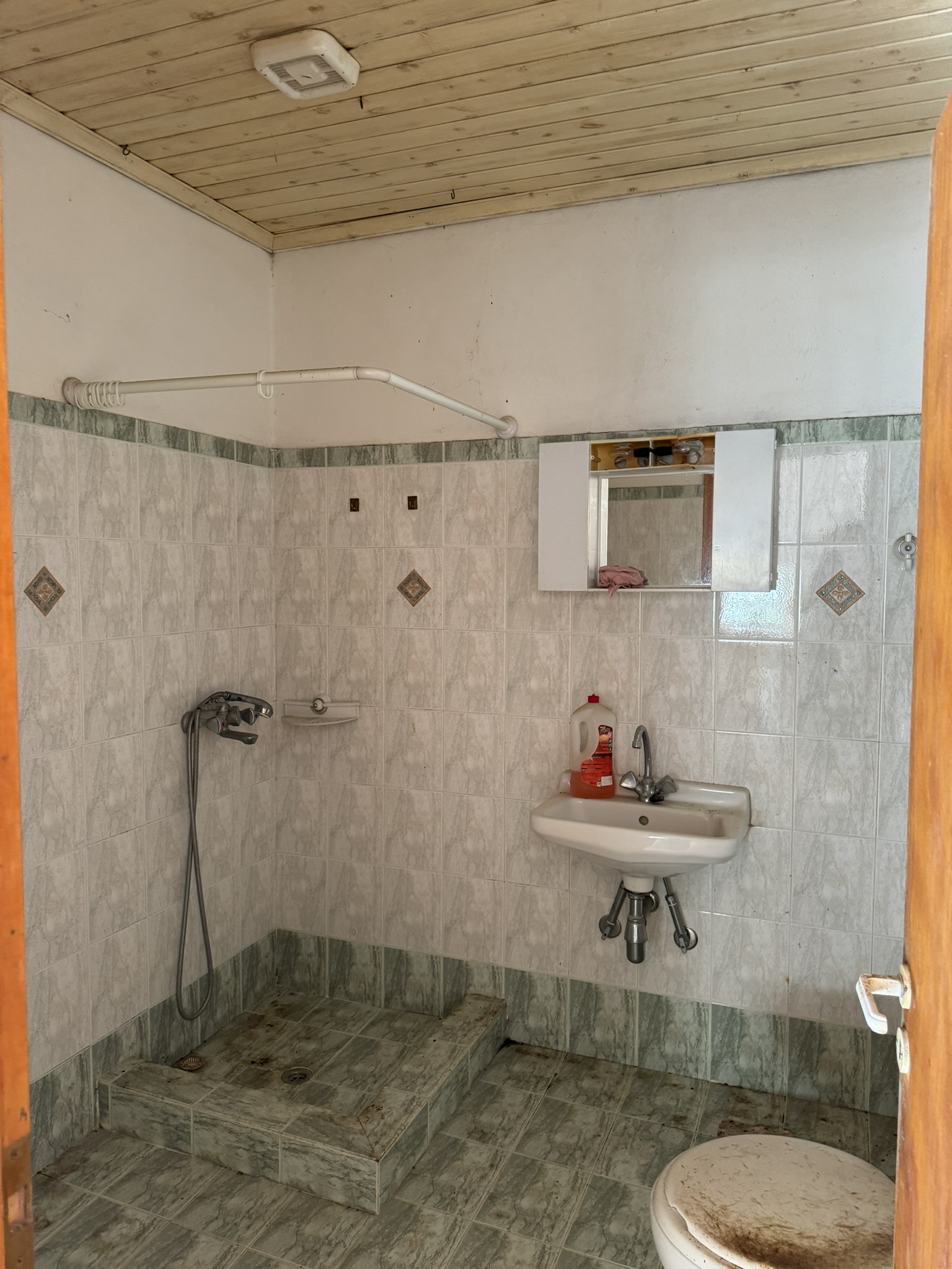 Bathroom of house for sale in Ithaca Greece, Stavros