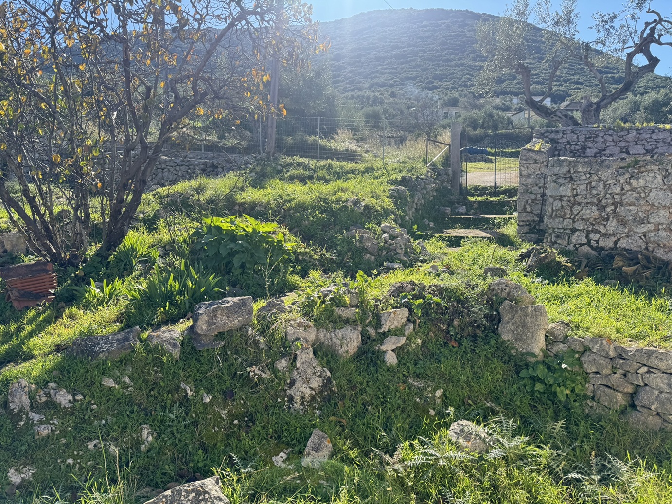 Garden of house for sale in Ithaca Greece, Stavros