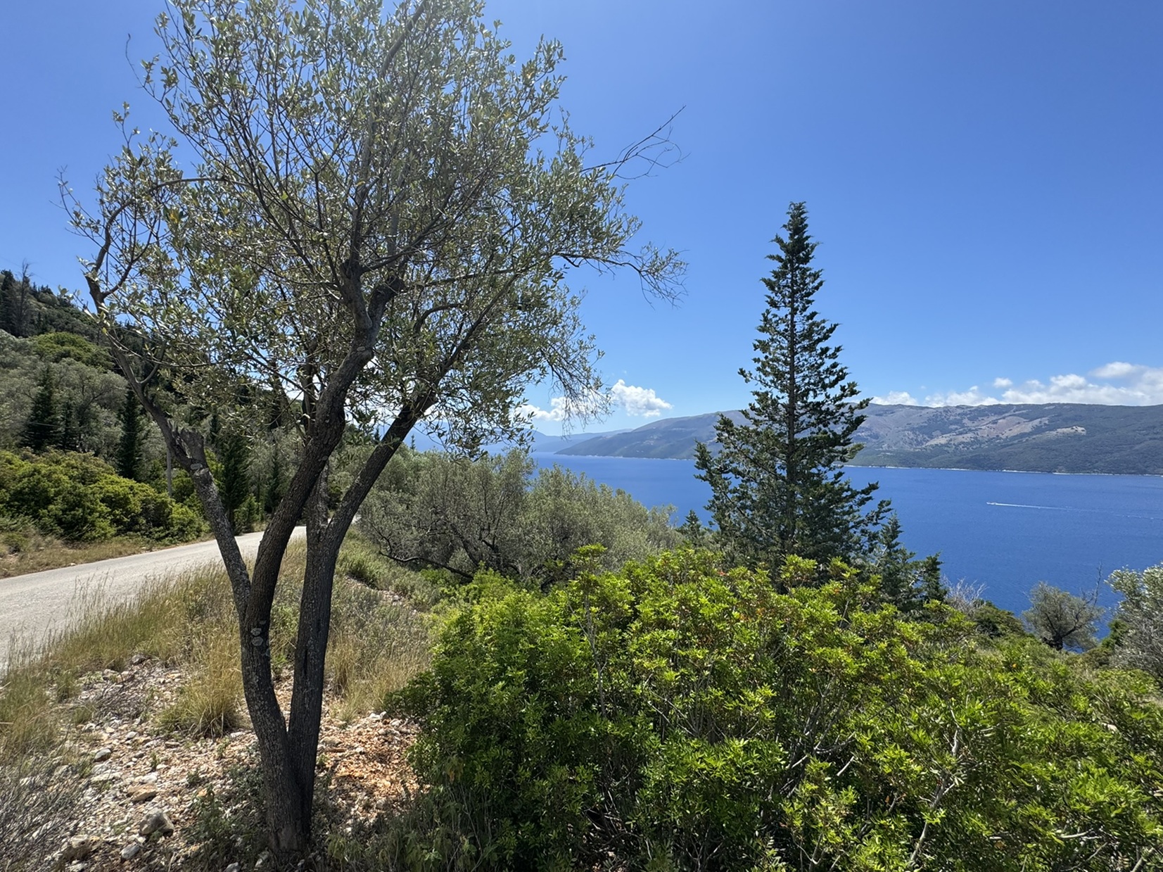 Views from land for sale in Ithaca Greece, Ag. Yiannis