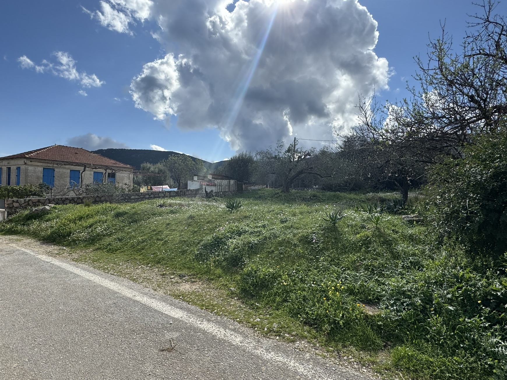 Road view of land for sale in Ithaca Greece, Lahos