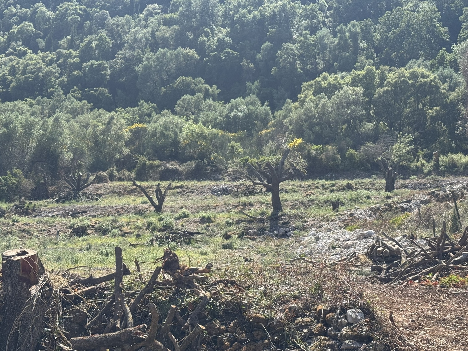 Terrain and landscape of land for sale in Ithaca Greece, Kolleri